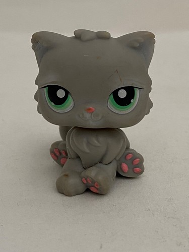 Petshop chat persan n - chat, n°