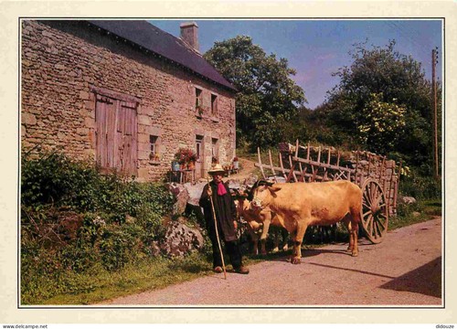 Carte postale animaux - postale,