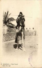 CPA AK ALGERIA Geiser 20