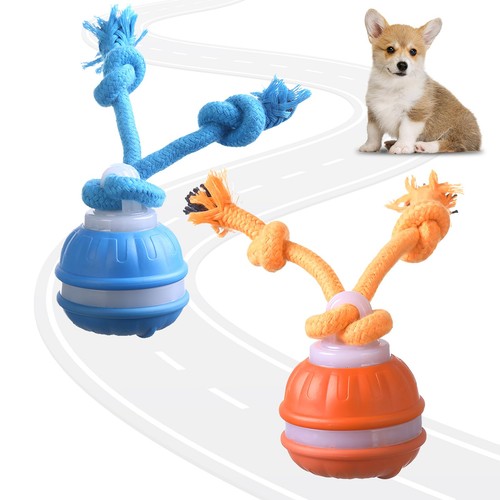 Jouet pour chien interactif - pour, 2