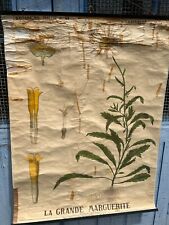 Affiche Ancienne Scolaire