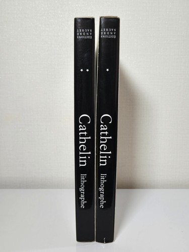 Tome cathelin peintures - 2,