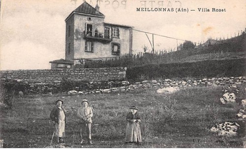 Meillonnas san51311 - 01,