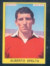 Figurine Footballeurs Panini