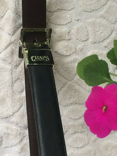 Women chaps belt black - chaps,