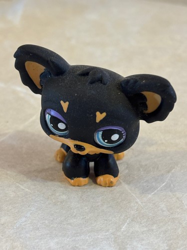 Petshop hasbro 2007 - , chihuahua