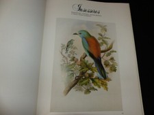 Les oiseaux John Gould - Celiv - Ornithologie -planches couleurs