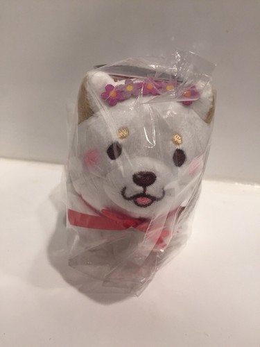 Mochishiba dog puppy - dog,