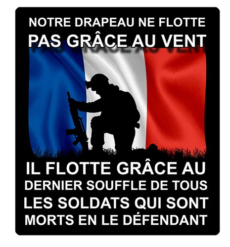 Sticker armee française - armee,