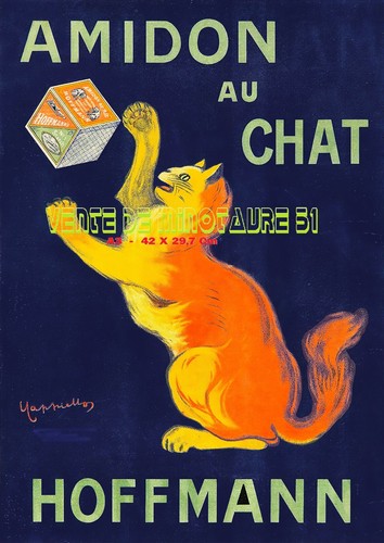 Amidon chat savon - chat,