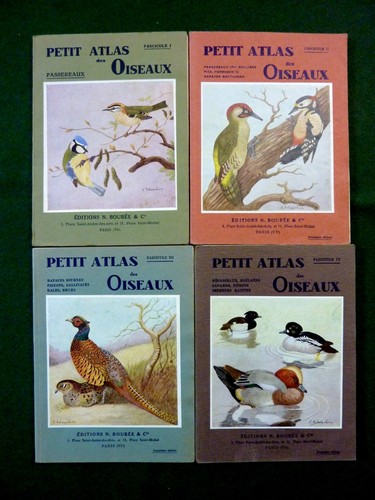 Ornithologie petit atlas - petit,