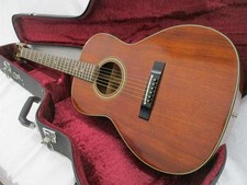 Takamine Acoustic-Electric