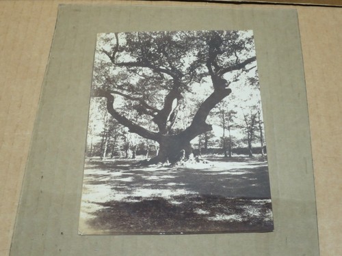 Dax photographie - (landes),