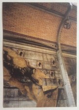 ERNEST PIGNON ERNEST  -  Carton d invitation - 2017