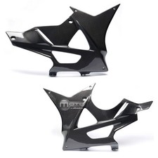 Sabot Carbone BMW S1000RR