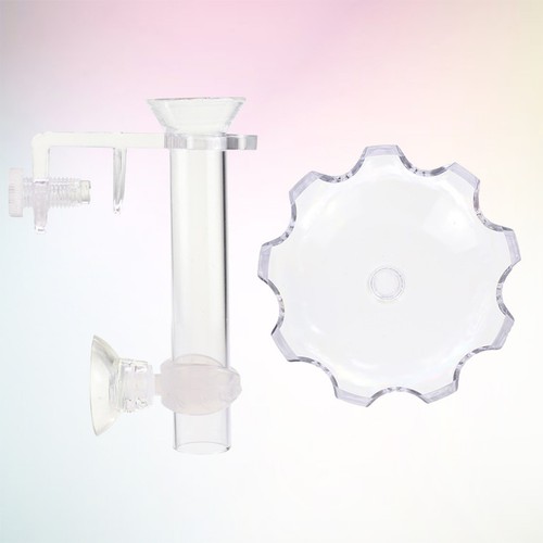 Accessoire aquarium bocal - bocal, À