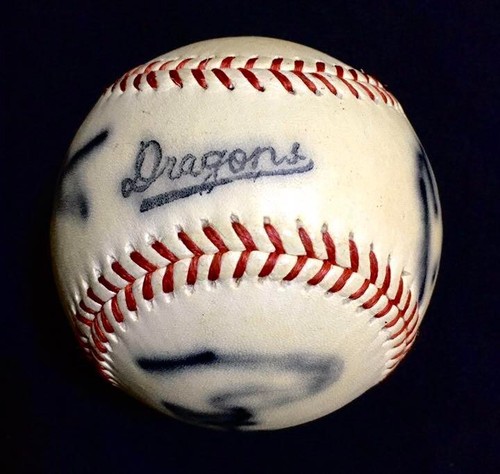 Chunichi dragons senichi - dragons,