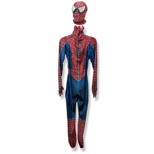 Adult comic superhero - comic, spandex
