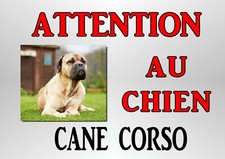 plaque alu attention chien cane corso masque fauve 29 X 20 angles percés réf 99