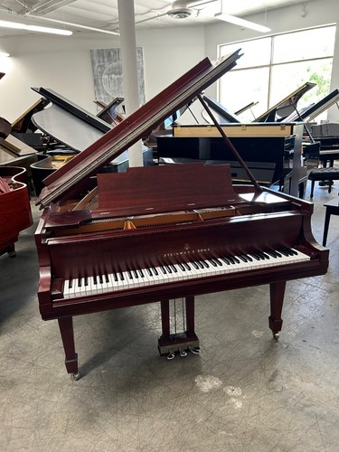 Steinway grand piano fully - steinway, m