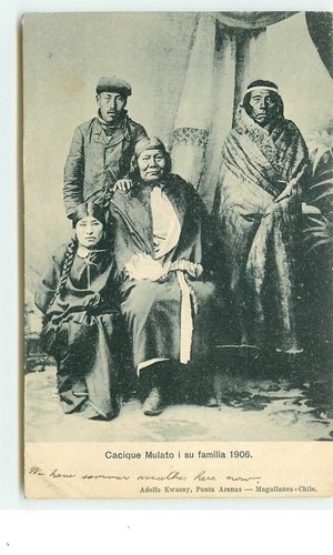 Cacique mulato familia - su,