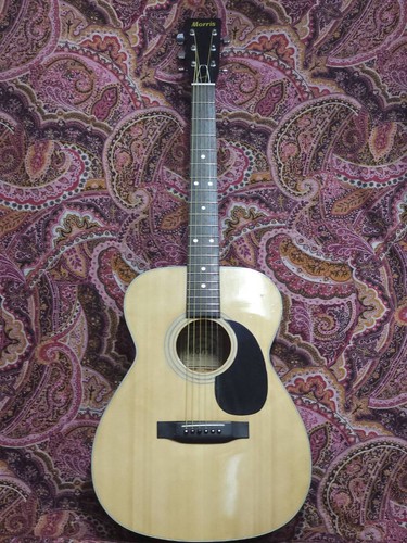 Vintage morris acoustic - vintage, f-15