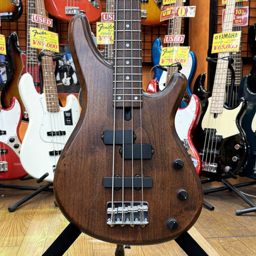 Guitare basse électrique