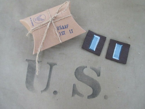 Insignes cuir army 1er - cuir, us