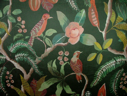Colonial oiseaux émeraude - colonial,