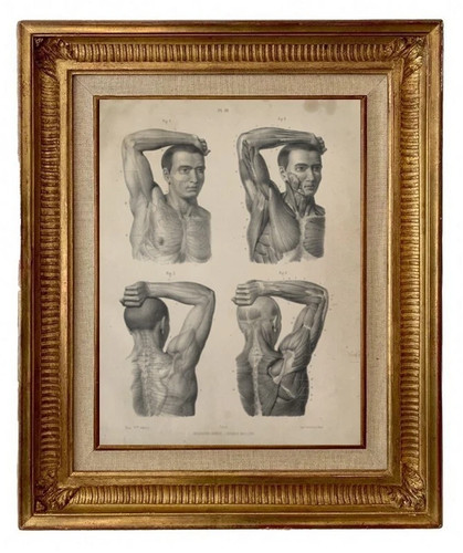 Gravure lithographie xix - gravure,