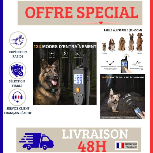 Collier dressage chien - de,