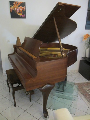 Piano1 queue schimmel - piano1/4,