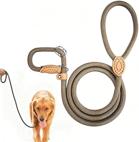 Laisse dressage chien - laisse, 180cm