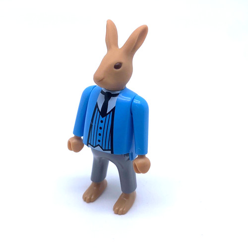 Playmobil pays magique - playmobil, *