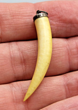 ANCIEN PENDENTIF CORNE DENT
