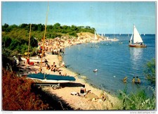 17 ILE DE RE - plage de trousse chemise et son bois