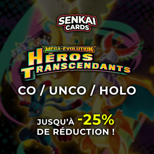 Pokémon héros - -,