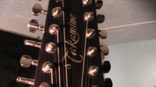 Takamine 12 st. A/E guitar