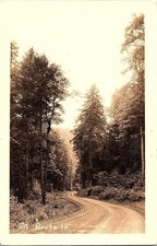 Cppr sur la Route 15 Forêt