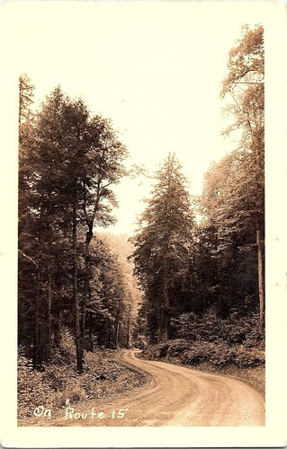 Cppr sur route forêt - cppr, 15