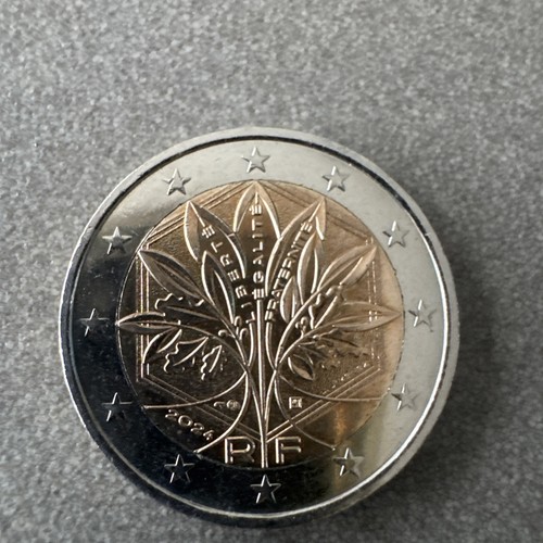 Superbe piece euros 2024 - superbe, 2