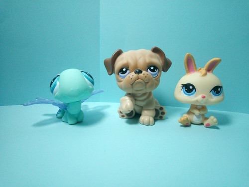 Littlest petshop lps - petshop,