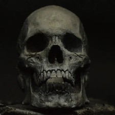 skull ring silver  medium size