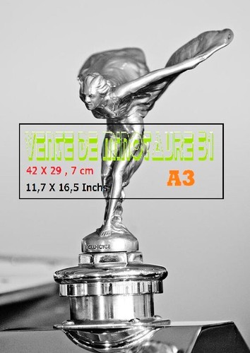 Mascotte auto 1929 - mascotte,