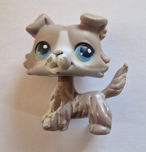 Figurine petshop colley - colley, 67
