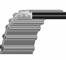 Ceinture Double Dentée