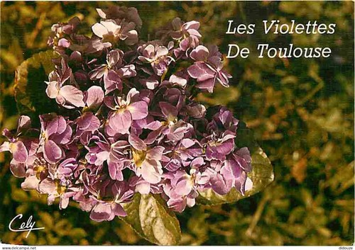 Carte postale toulouse - postale,
