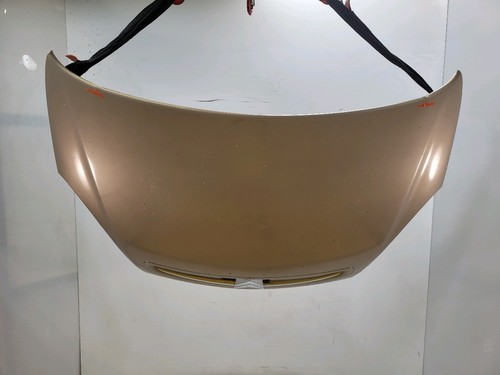 Capot citroen xsara - capot,