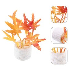  Modèle De Mini Bonsaï