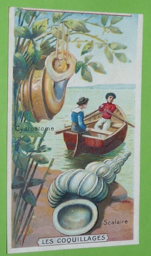 Chromo 1905 1925 chocolat - 1905-1925,
